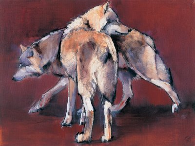Composizione di lupi, 2001 da Mark Adlington