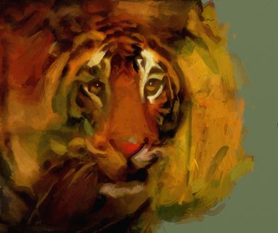 tigre da Mark Gordon