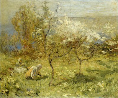 Fiori di melo da Mark Senior