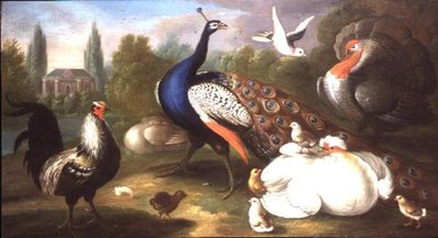 Un pavone, un tacchino, una gallina, un gallo e una colomba vicino a un fiume da Marmaduke Craddock