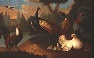 Paesaggio con vari uccelli da Marmaduke Craddock