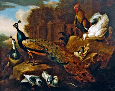 Pavoni, colombe e altri uccelli e un edificio classico da Marmaduke Craddock