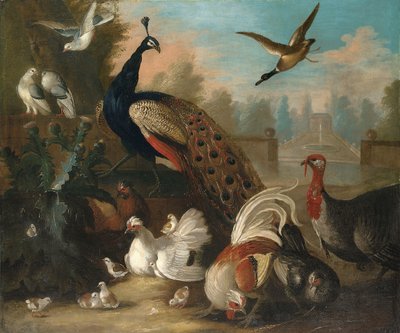 Un pavone e altri uccelli in un paesaggio ornamentale da Marmaduke Cradock