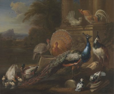Pavoni, colombe, tacchini, galline e anatre presso una rovina classica da Marmaduke Cradock