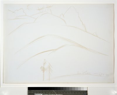 Paesaggio montano con due pini da Marsden Hartley