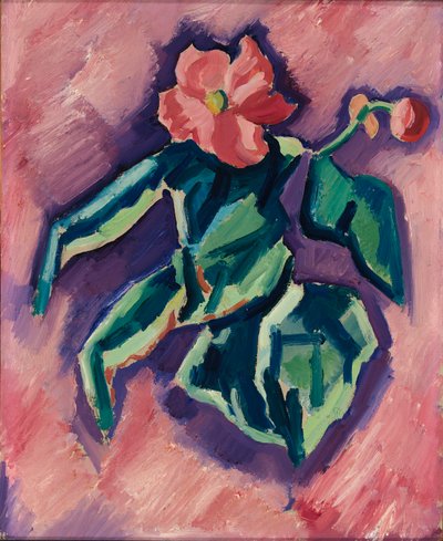 Rosa Begonien da Marsden Hartley