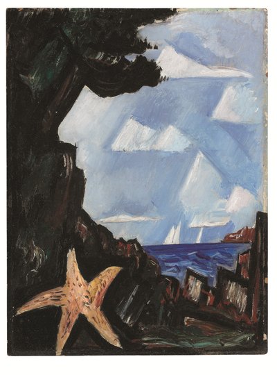 Vista sul mare--Stella marina, Nuova Inghilterra da Marsden Hartley