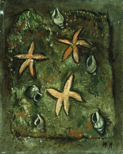 Stelle Marine e Conchiglie da Marsden Hartley