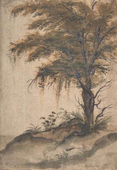 Studio di un Albero, metà XVI-inizio XVII secolo da Marten van Valckenborch