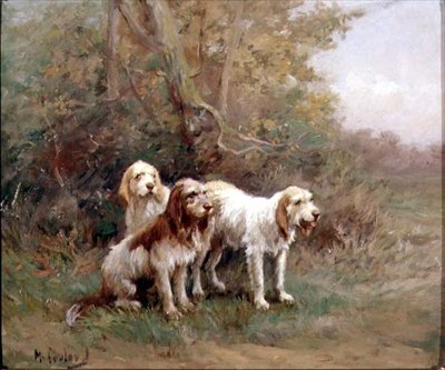 Cani da lontra in un paesaggio da Martin Coulaud