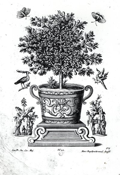 Albero ornamentale in un