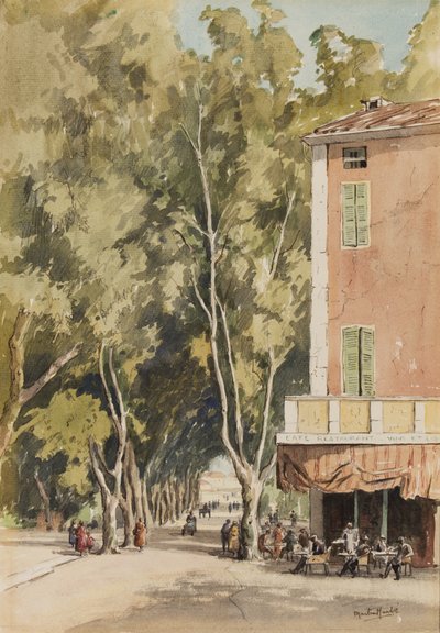 Un viale di platani, Vaison, Vaucluse, ottobre 1933 da Martin Hardie