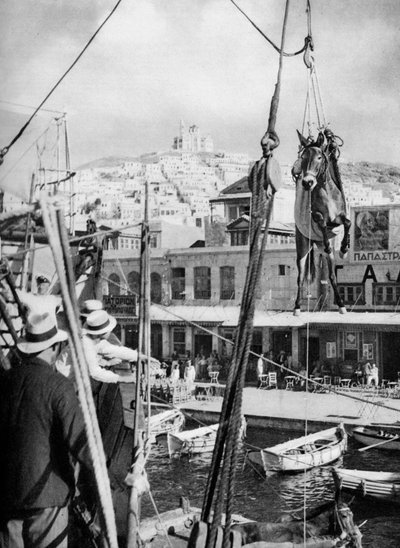 Il carico dei muli, Isola di Syros, Grecia, 1937 da Martin Hurlimann