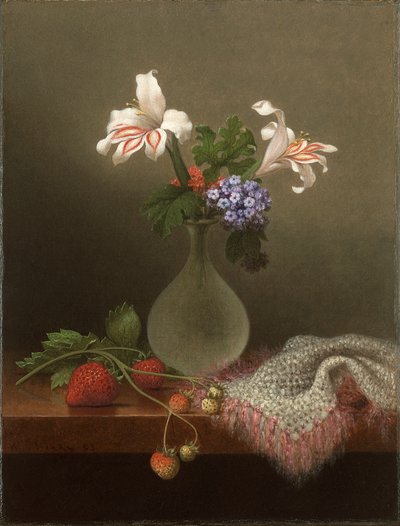 Un vaso di gigli di campo e eliotropio da Martin Johnson Heade