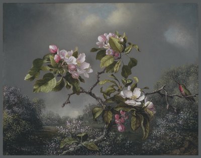 Fiori di melo e colibrì, 1871 da Martin Johnson Heade