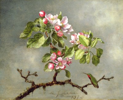 Fiori di melo e un colibrì, 1875 da Martin Johnson Heade
