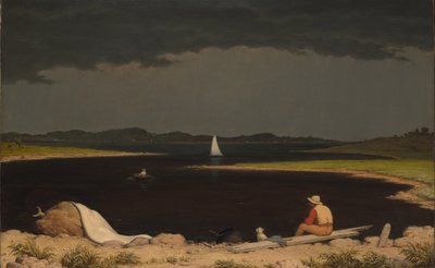 Tempesta in Arrivo da Martin Johnson Heade