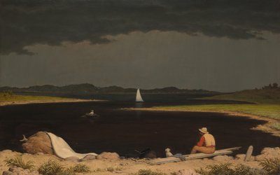 Tempesta in arrivo da Martin Johnson Heade