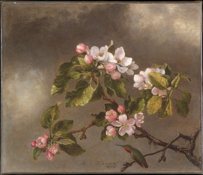  da Martin Johnson Heade