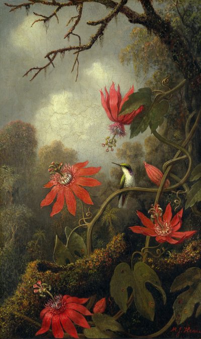 Colibrì e fiori della passione, ca. 1875-85 da Martin Johnson Heade