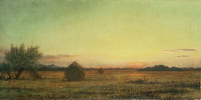 Prati di Jersey da Martin Johnson Heade