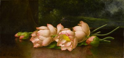 Fiori di loto: un paesaggio dipinto sullo sfondo da Martin Johnson Heade