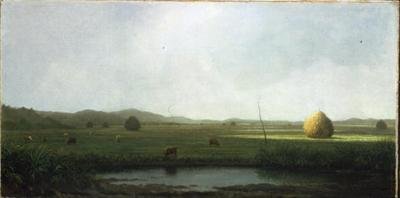 Scena di palude: bestiame vicino a una sella di fieno da Martin Johnson Heade