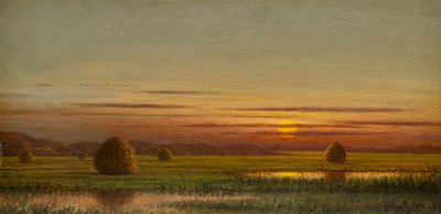 Paludi da Martin Johnson Heade