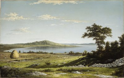 Costa del Rhode Island da Martin Johnson Heade