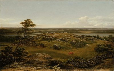 Rocce nel New England da Martin Johnson Heade