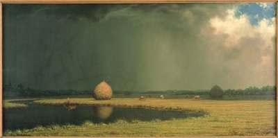 Fieno della palude salata, 1865 circa (olio su tela) da Martin Johnson Heade