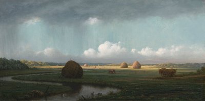 Pioggia improvvisa, paludi di Newbury da Martin Johnson Heade