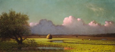 Luce del sole e ombra: Le paludi di Newbury, c. 1871-1875 da Martin Johnson Heade