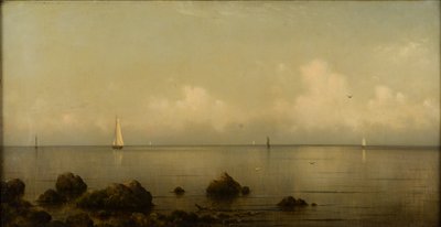 Isola Thimble, CT, 1875-1876 da Martin Johnson Heade