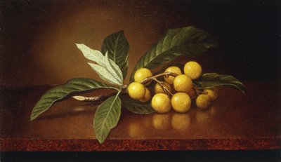 Prugne tropicali da Martin Johnson Heade