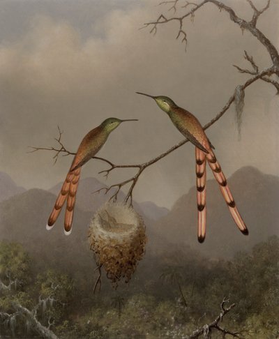 Due colibrì con i loro piccoli da Martin Johnson Heade