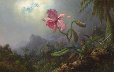 Due colibrì con un