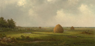 Veduta di Marshfield da Martin Johnson Heade