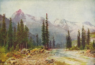 Le Montagne Rocciose da Thomas Mower Martin