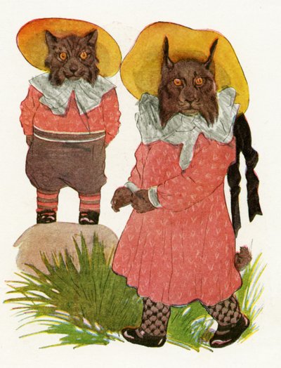 Lince rossa e lince canadese, 1913 da Martin Ross