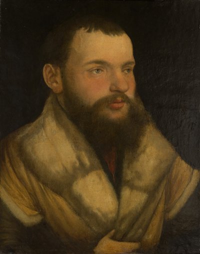 Ritratto di un uomo, 1520-30 da Martin Schaffner