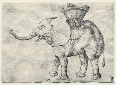 Un elefante con howdah da Martin Schongauer