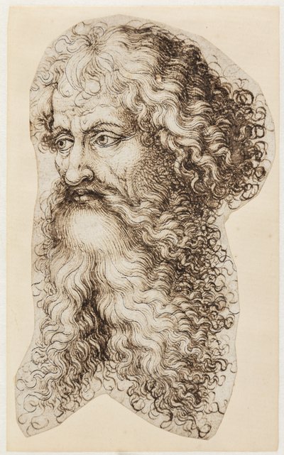 Testa di uomo barbuto in profilo di tre quarti a sinistra da Martin Schongauer