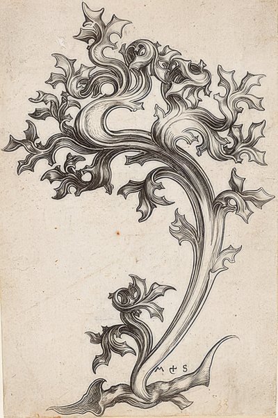 Ornamento fogliare di un cardo da Martin Schongauer