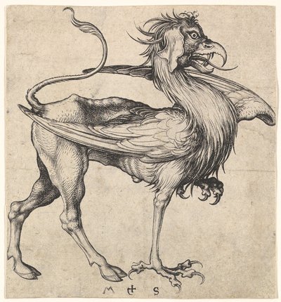 Grifone da Martin Schongauer