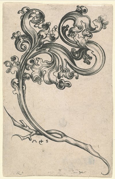 Ornamento a Foglia da Martin Schongauer