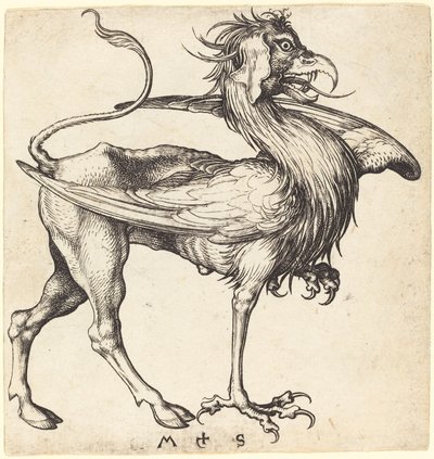 Il grifone da Martin Schongauer