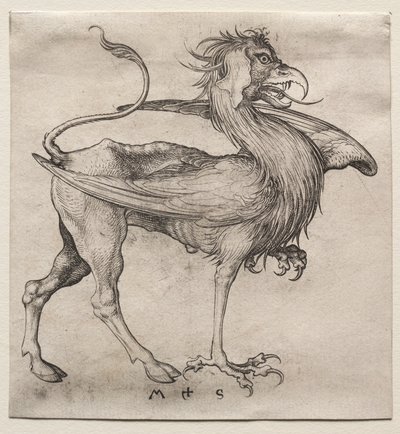 Il grifone da Martin Schongauer
