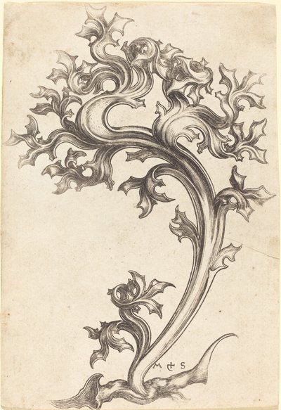 Ornamento di cardo da Martin Schongauer