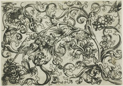 Ornamento a vite con pappagalli e uccelli da Martin Schongauer